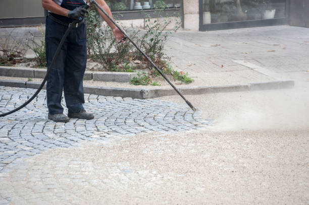 Best Winterizing Services  in Fenton, MI